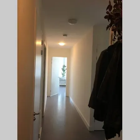 Big Apartment, Good Location In アパート アムステルダム